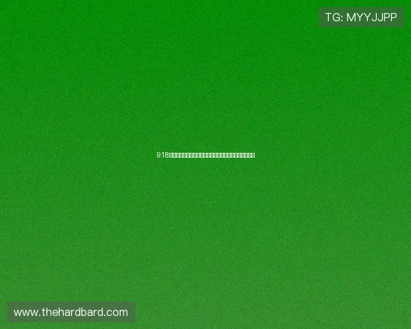 918博天堂在线入口安全保障措施,确保玩家资金与信息安全